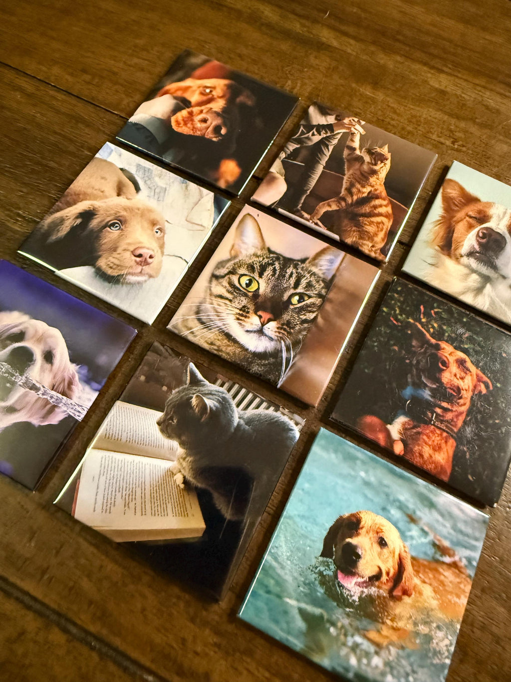 Custom Photo Magnets: Square Keepsake, Personalized Gift