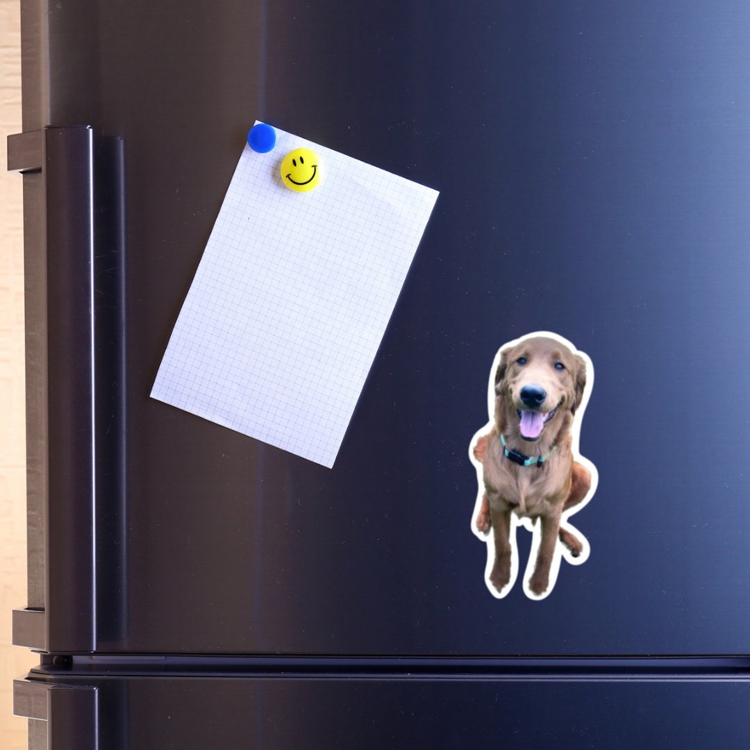 Custom photo magnets - personalized magnets for weddings, baby announcements, gifts and more