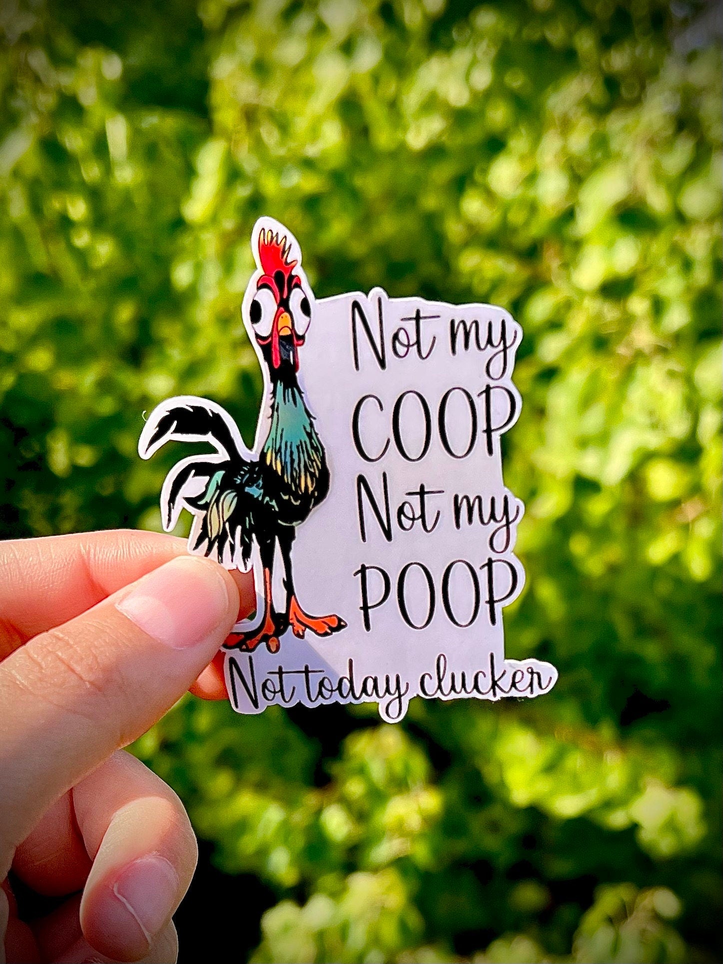 Not Today Clucker Sticker: Funny Chicken Farmer Gift, Waterproof Vinyl Decal